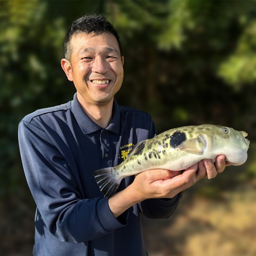 温泉そだちの和とらふぐ