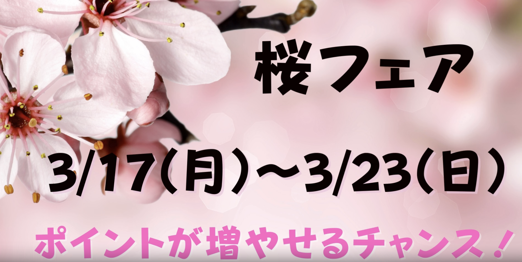 3/17(月)-3/23(日)まで「桜フェア」開催いたします！イメージ