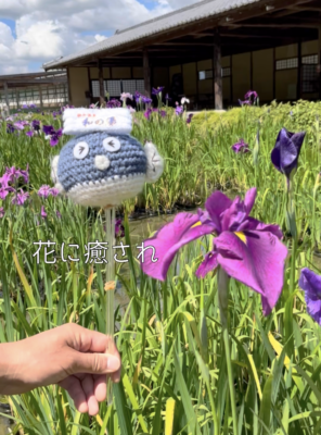 フグちゃんが行く【加茂荘花鳥園】イメージ