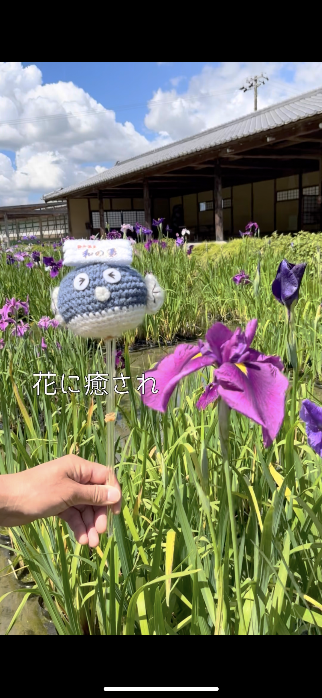 フグちゃんが行く【加茂荘花鳥園】イメージ