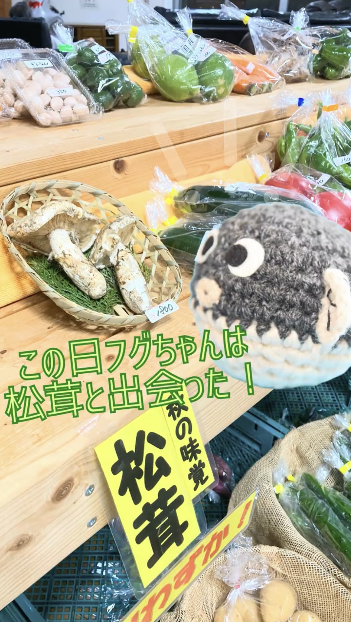 温泉と”そらさん”の旬の野菜で心も体もぽっかぽか！イメージ